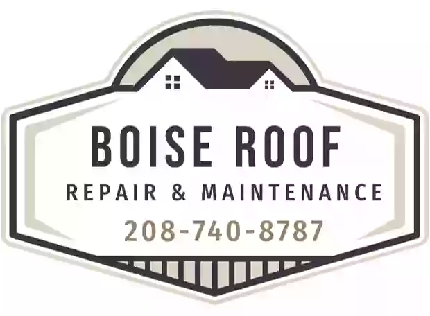 Boise Roof