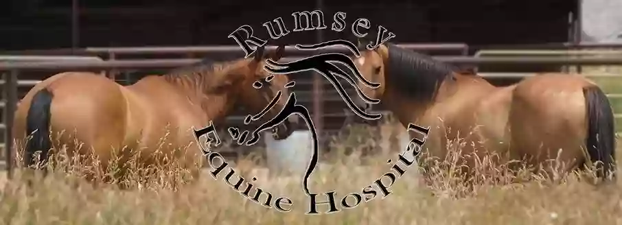 Rumsey Equine Hospital