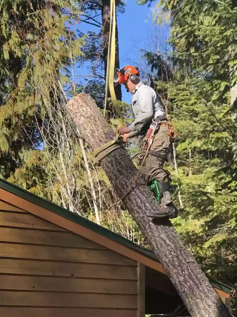 Big Nick's Tree Management