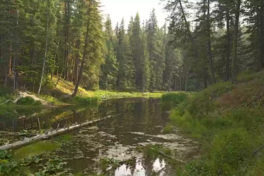 Round Lake State Park