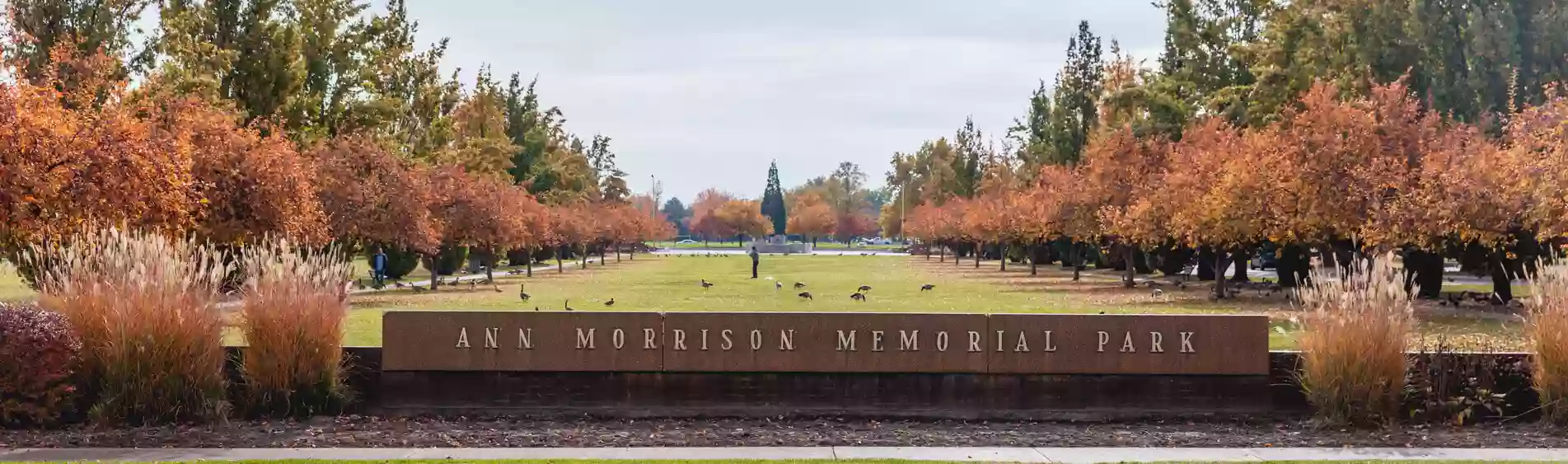 Ann Morrison Fountain