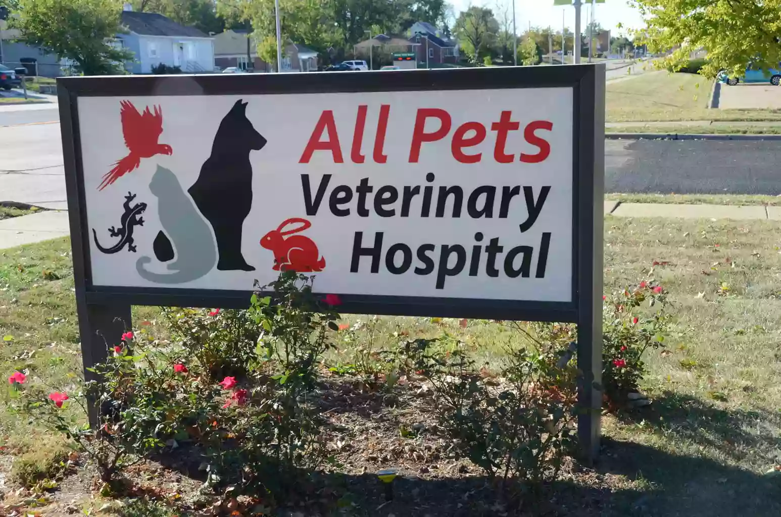 All Pets Veterinary Hospital