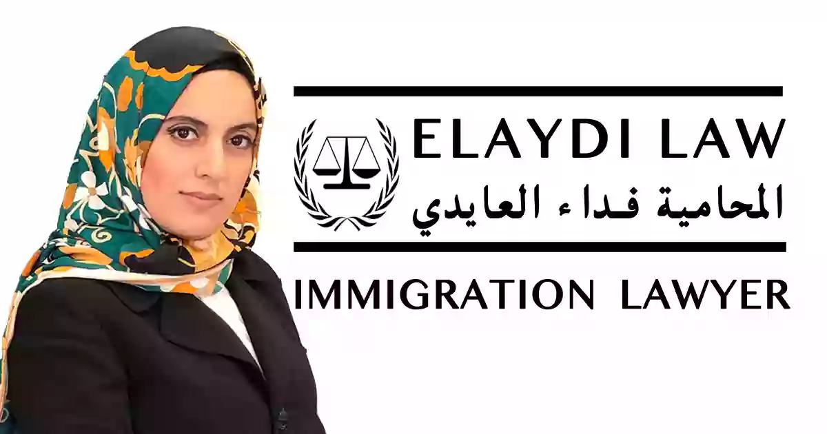 Elaydi Law, LLC