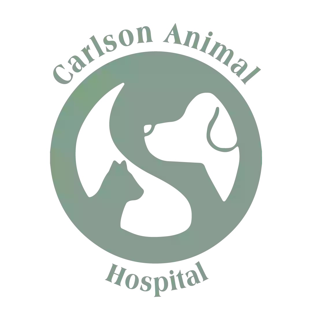 Carlson Animal Hospital, A Thrive Pet Healthcare Partner