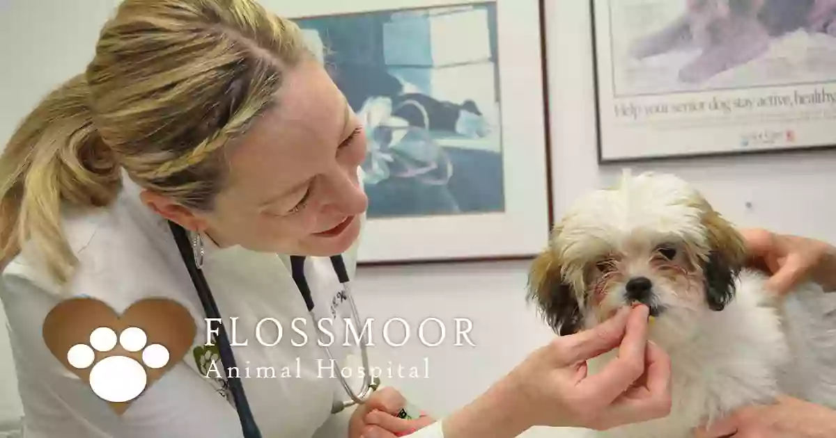 Flossmoor Animal Hospital