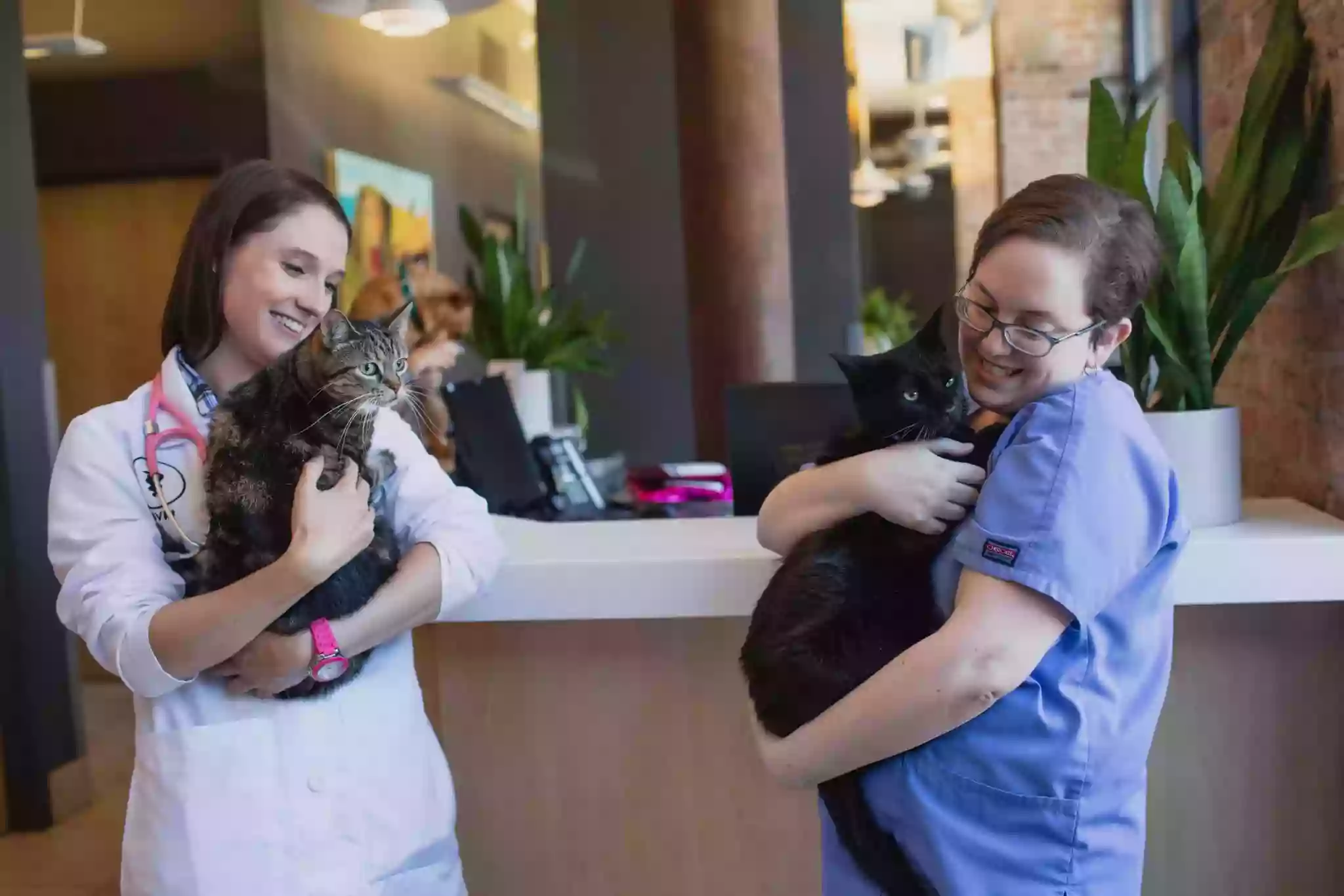 West Loop Veterinary Care