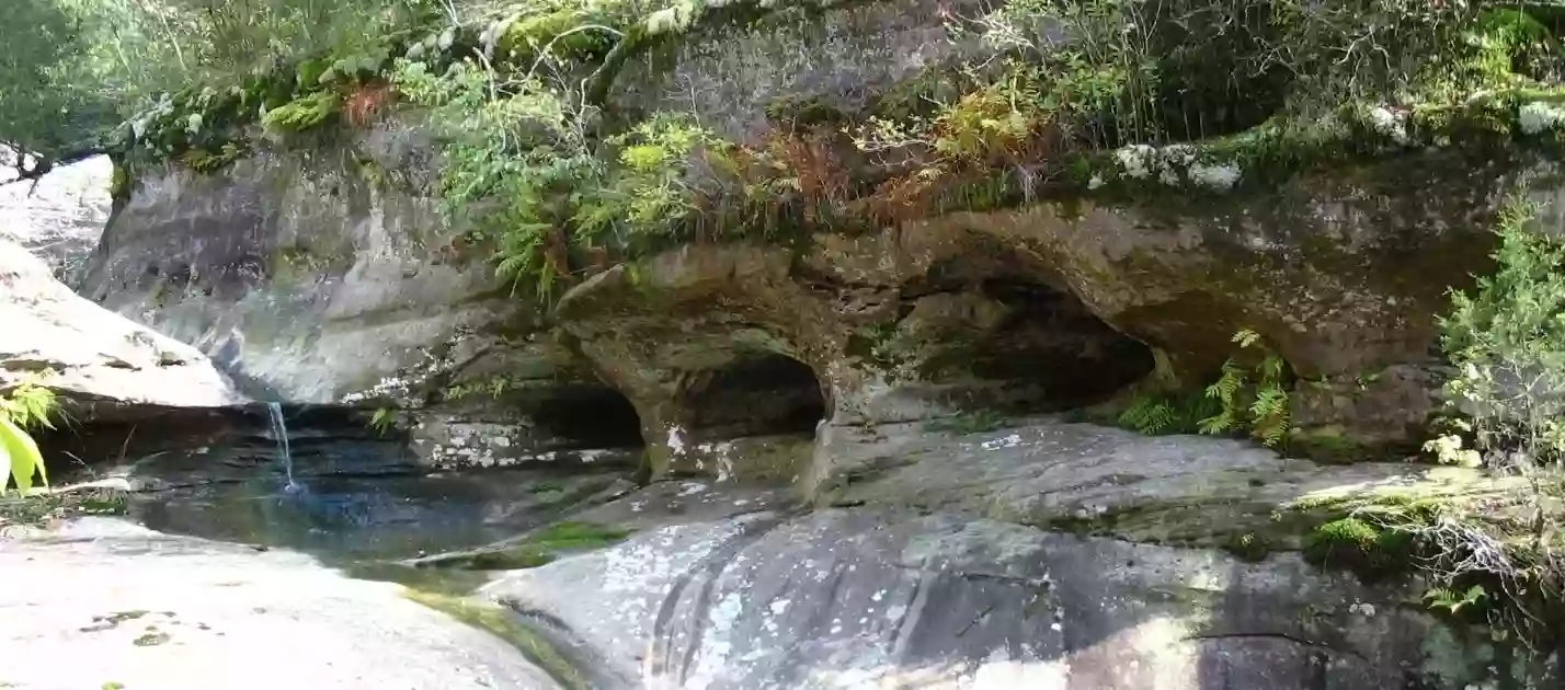 Hayes Canyon Campground