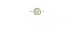 Sound Foundation Woodworking Academy