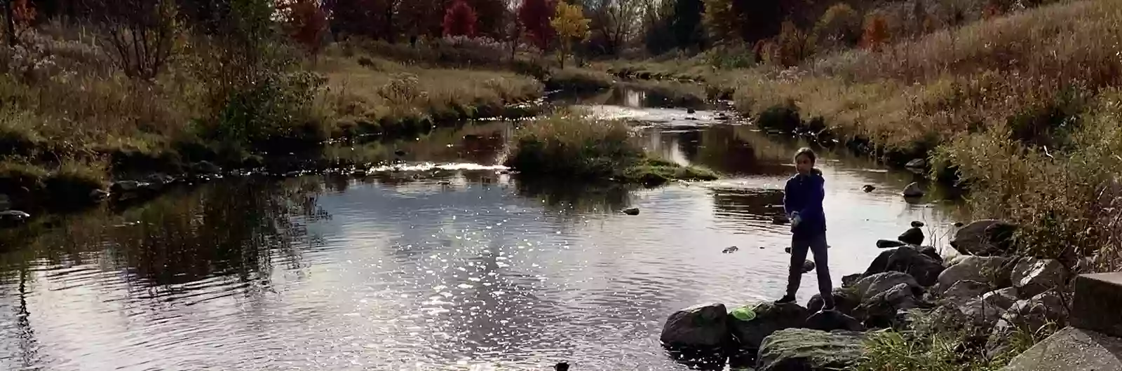 Lippold Park - Fox Valley Park District