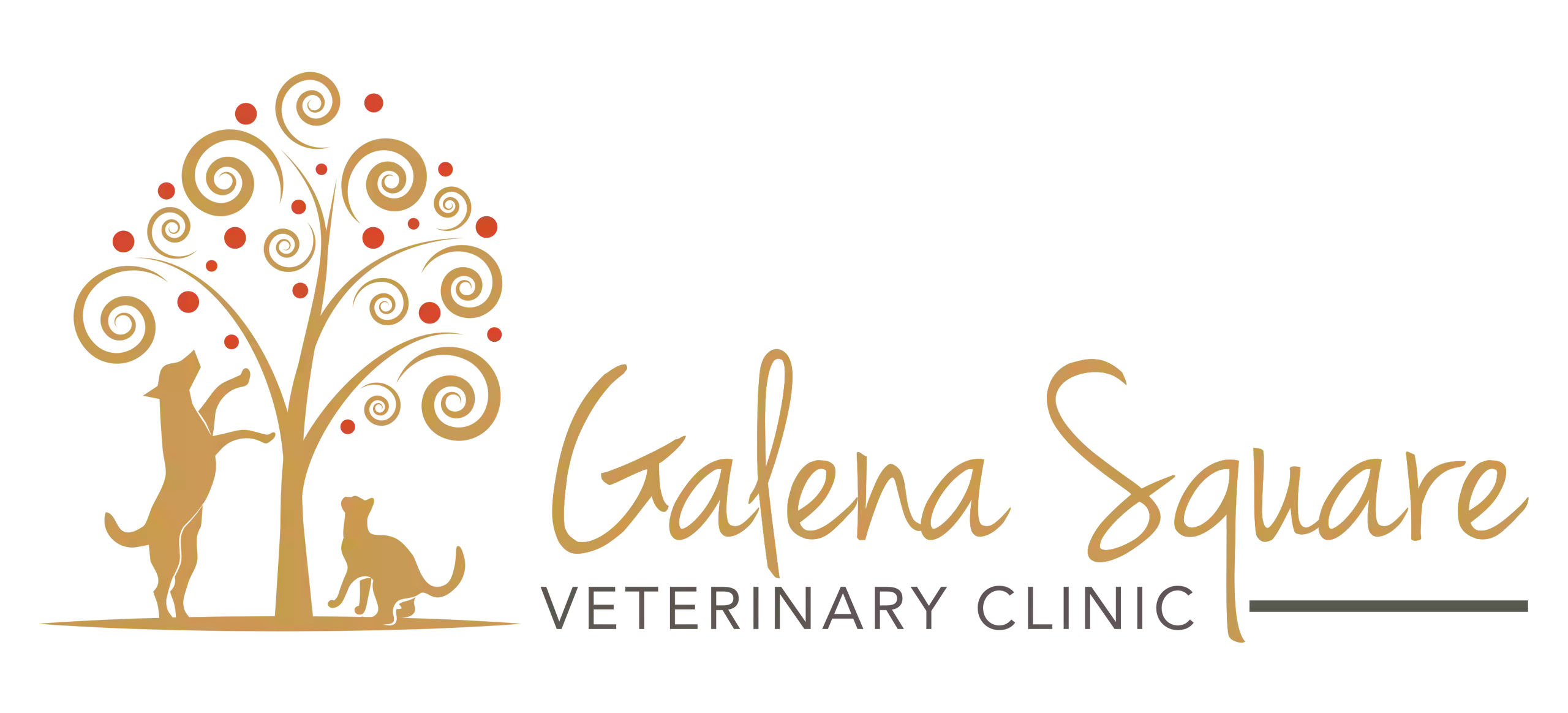 Galena Square Veterinary Clinic
