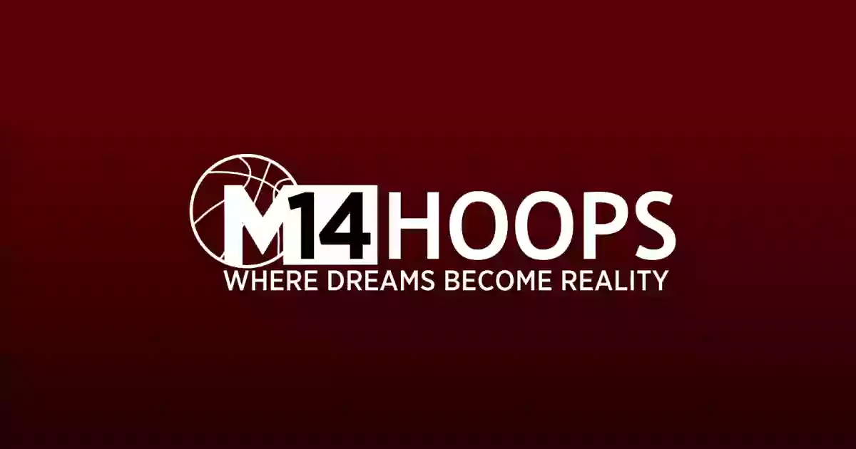 M14 Hoops Training Academy - Chicagoland