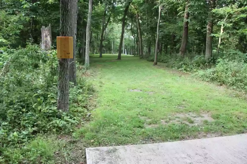 Camden Park Disc Golf Course 2