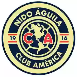 Nido Aguila Chicago