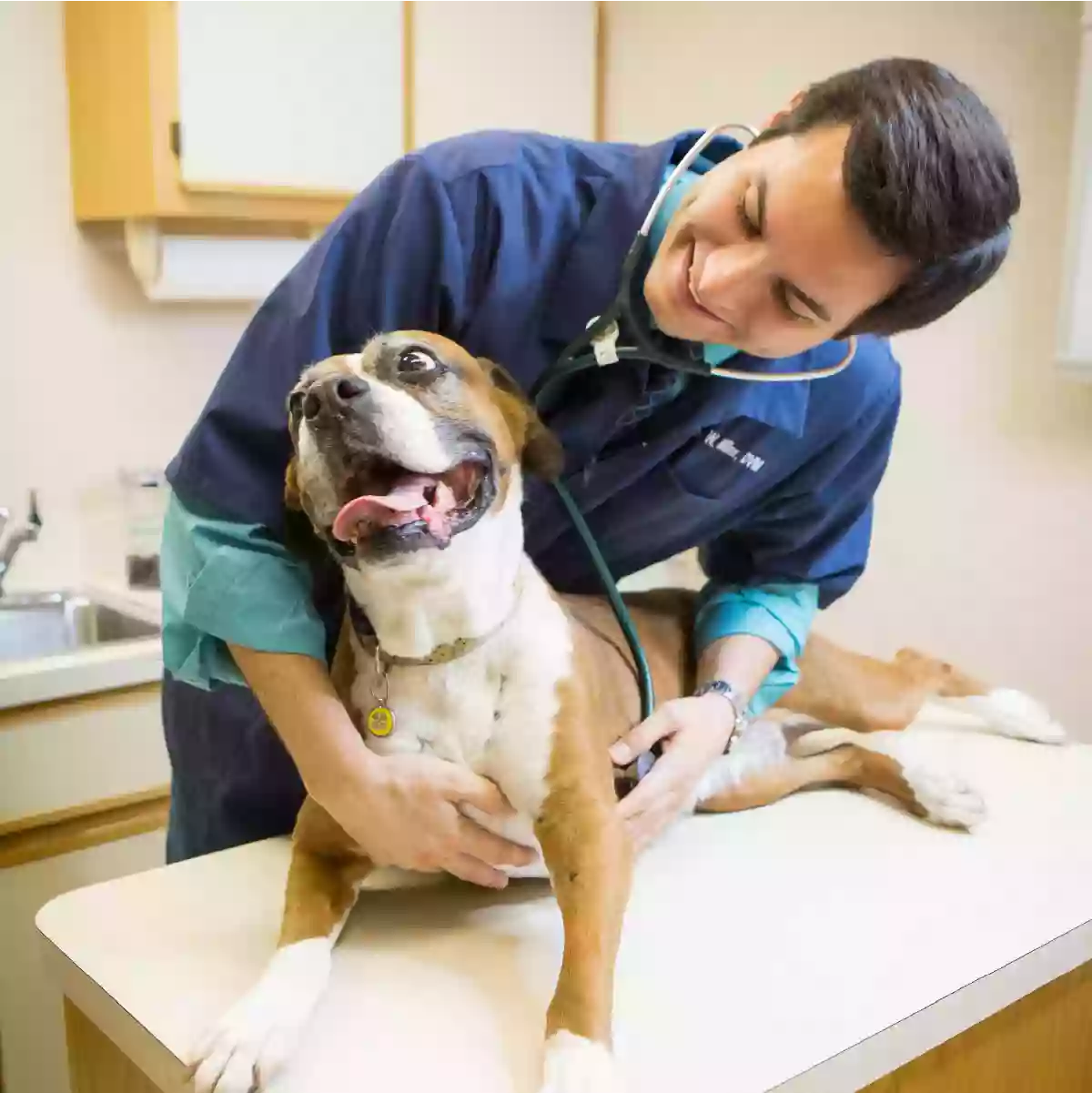 Lakewood Animal Hospital