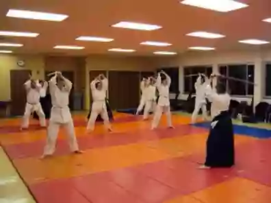 Oak Park Aikikai