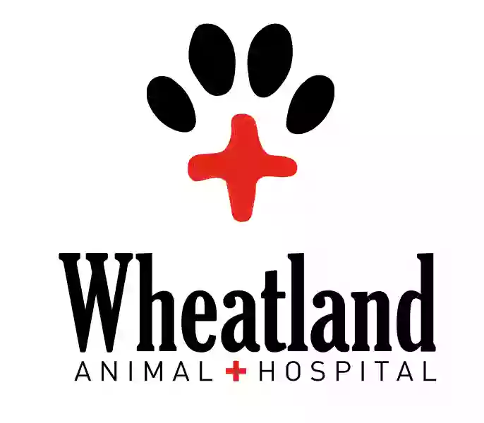 Wheatland Animal Hospital: Pet Rehabilitation