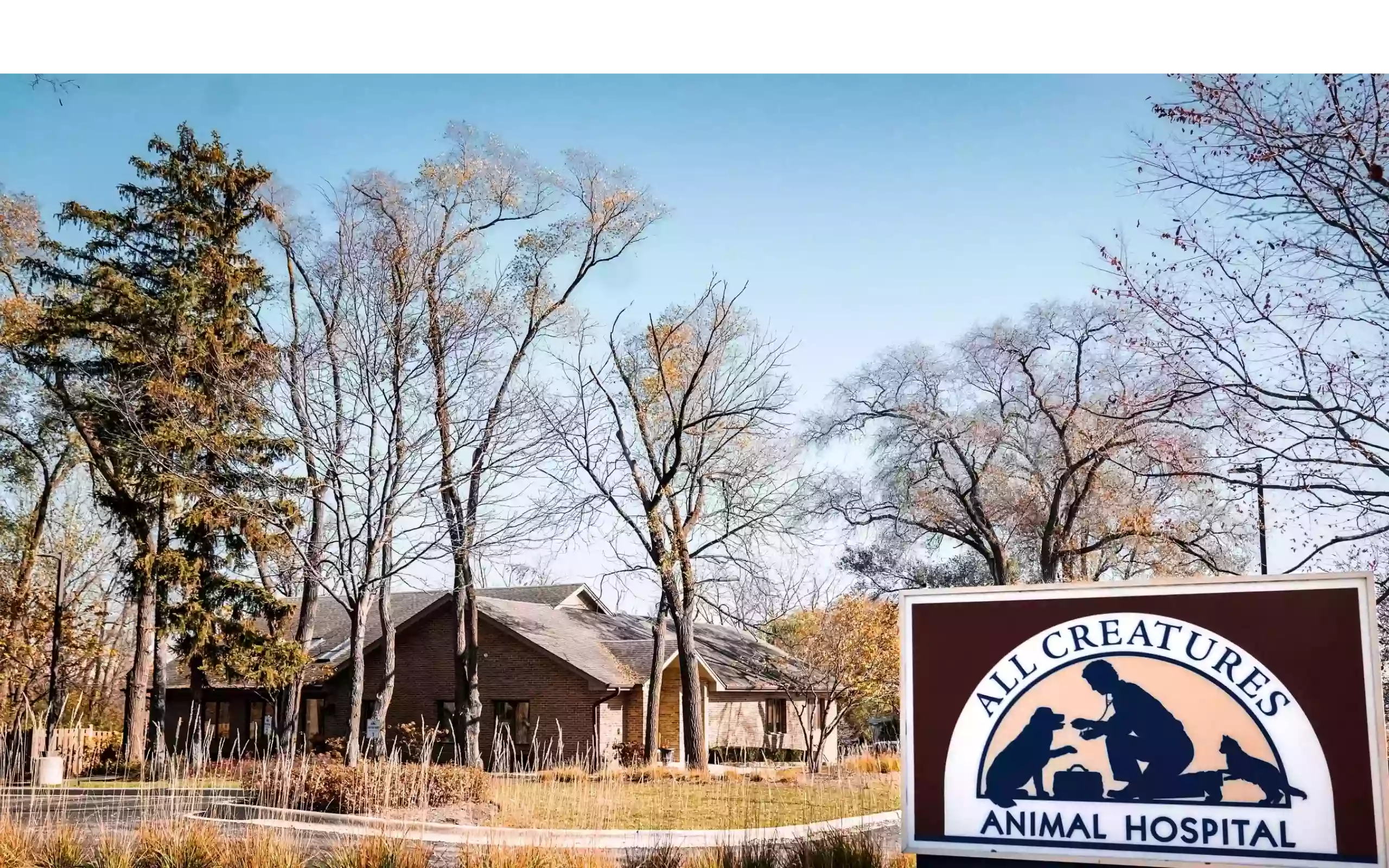 All Creatures Animal Hospital