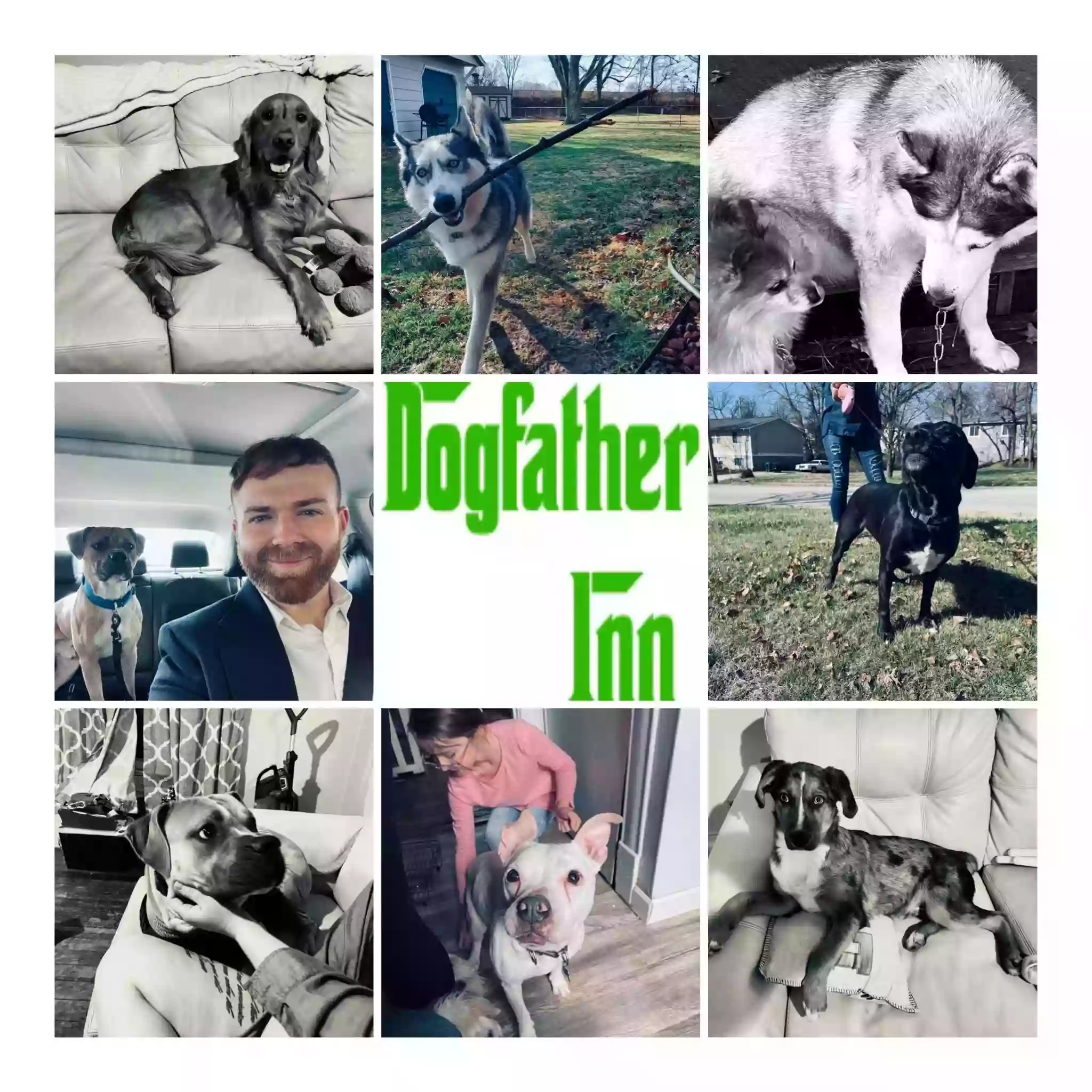 Dogfather Inn