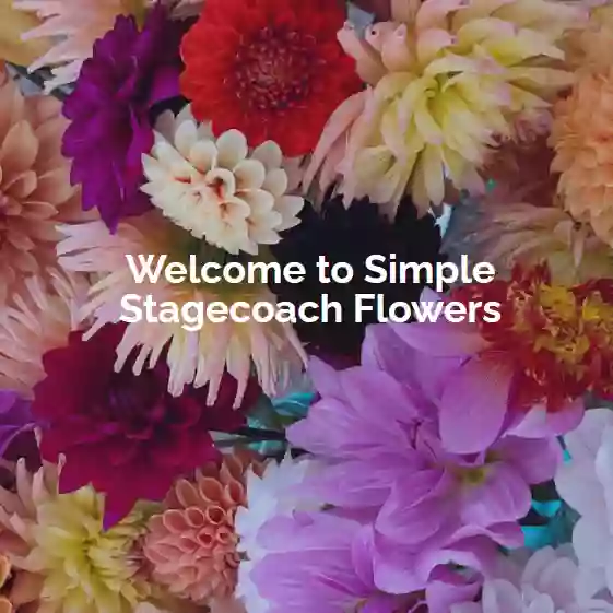 Simple Stagecoach Flowers