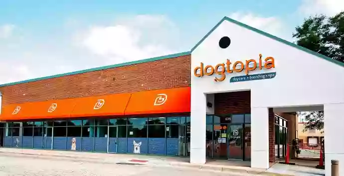 Dogtopia of Arlington Heights