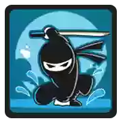 Pool Ninja Pros
