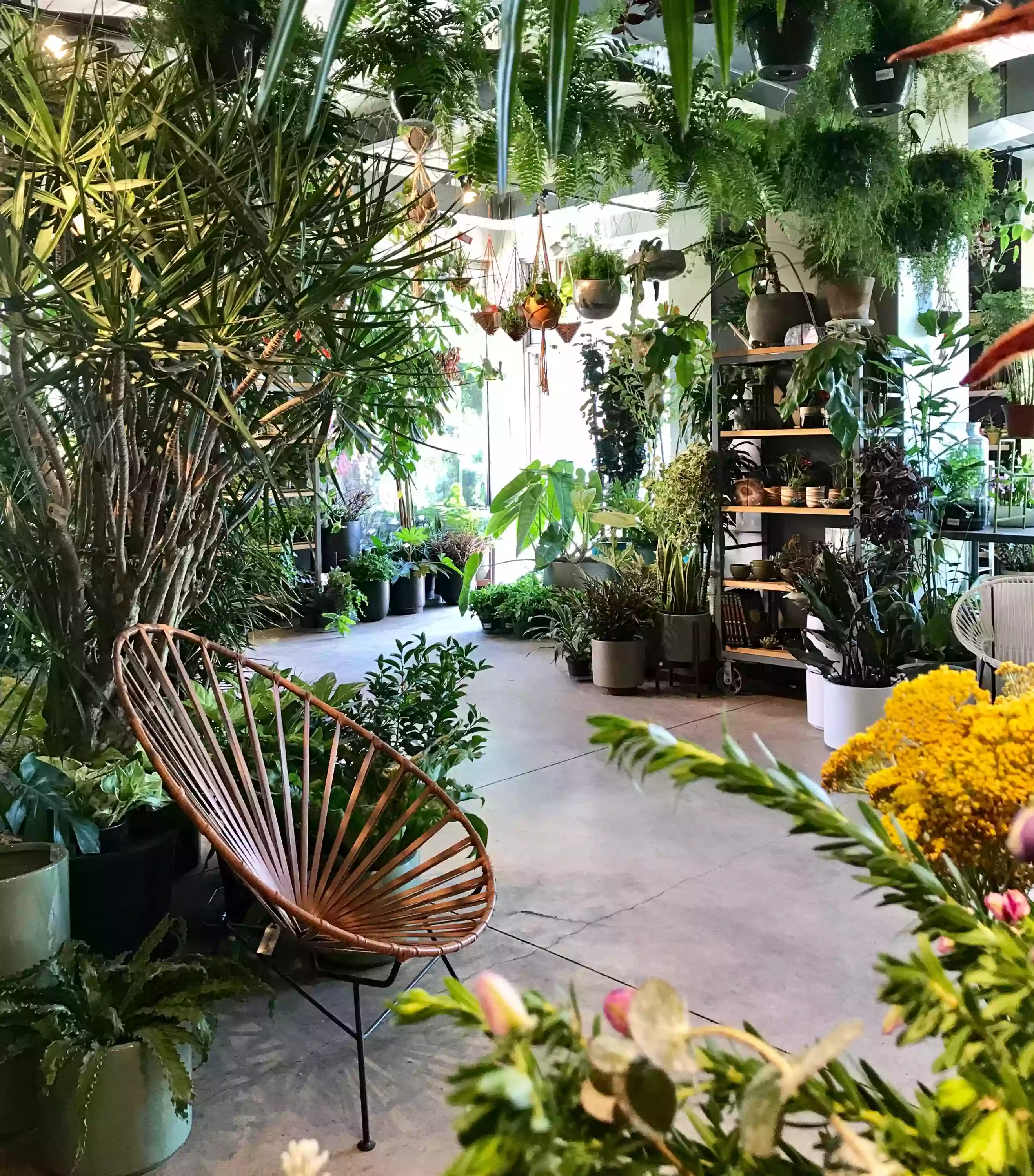 Roots and Shoots Plant Shop