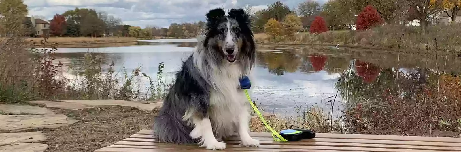 Gregory Island Dog Park