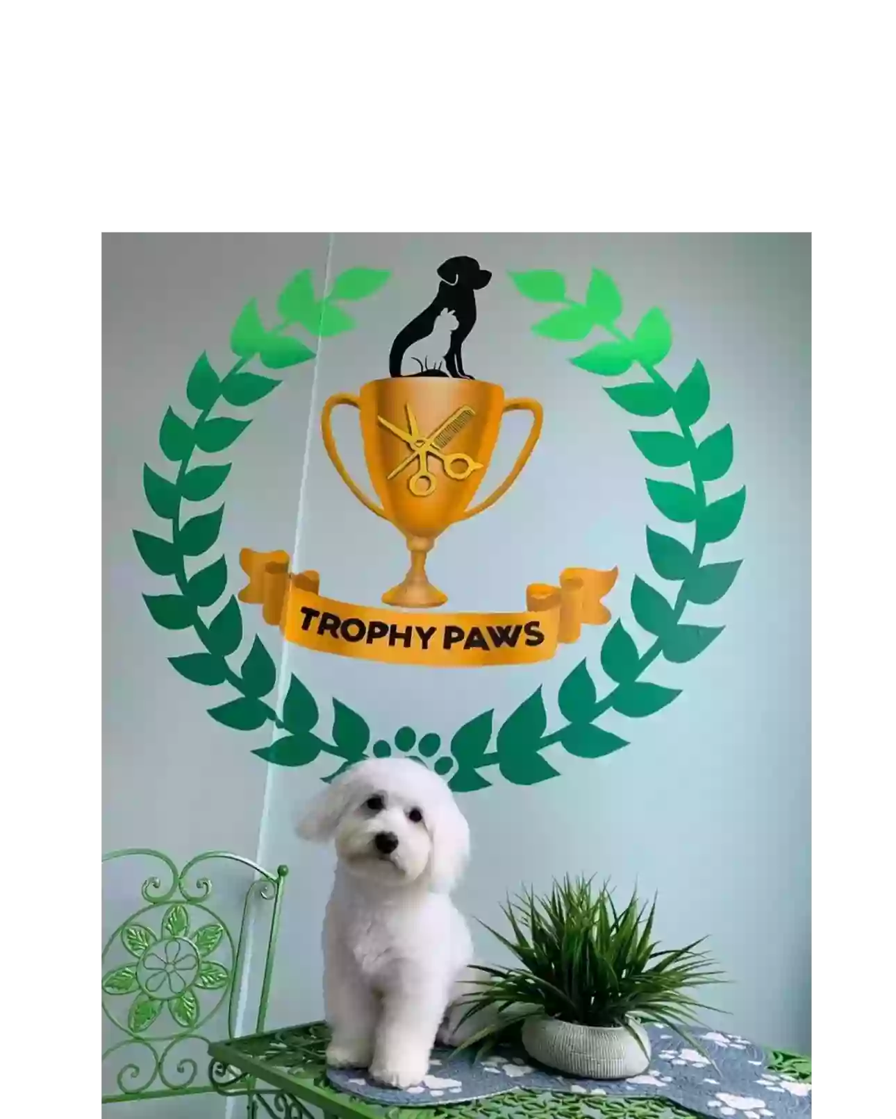 Trophy Paws Pet Grooming