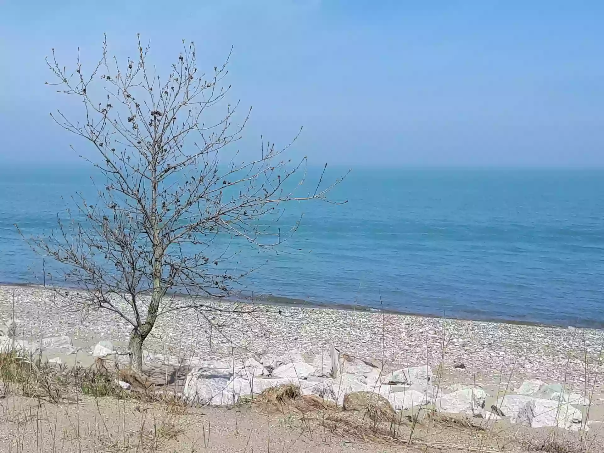 Illinois Beach Nature Preserve