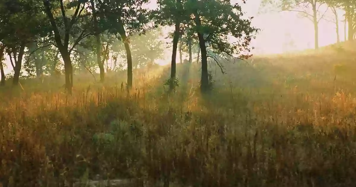 Kankakee Sands Illinois - Mskoda Preserve