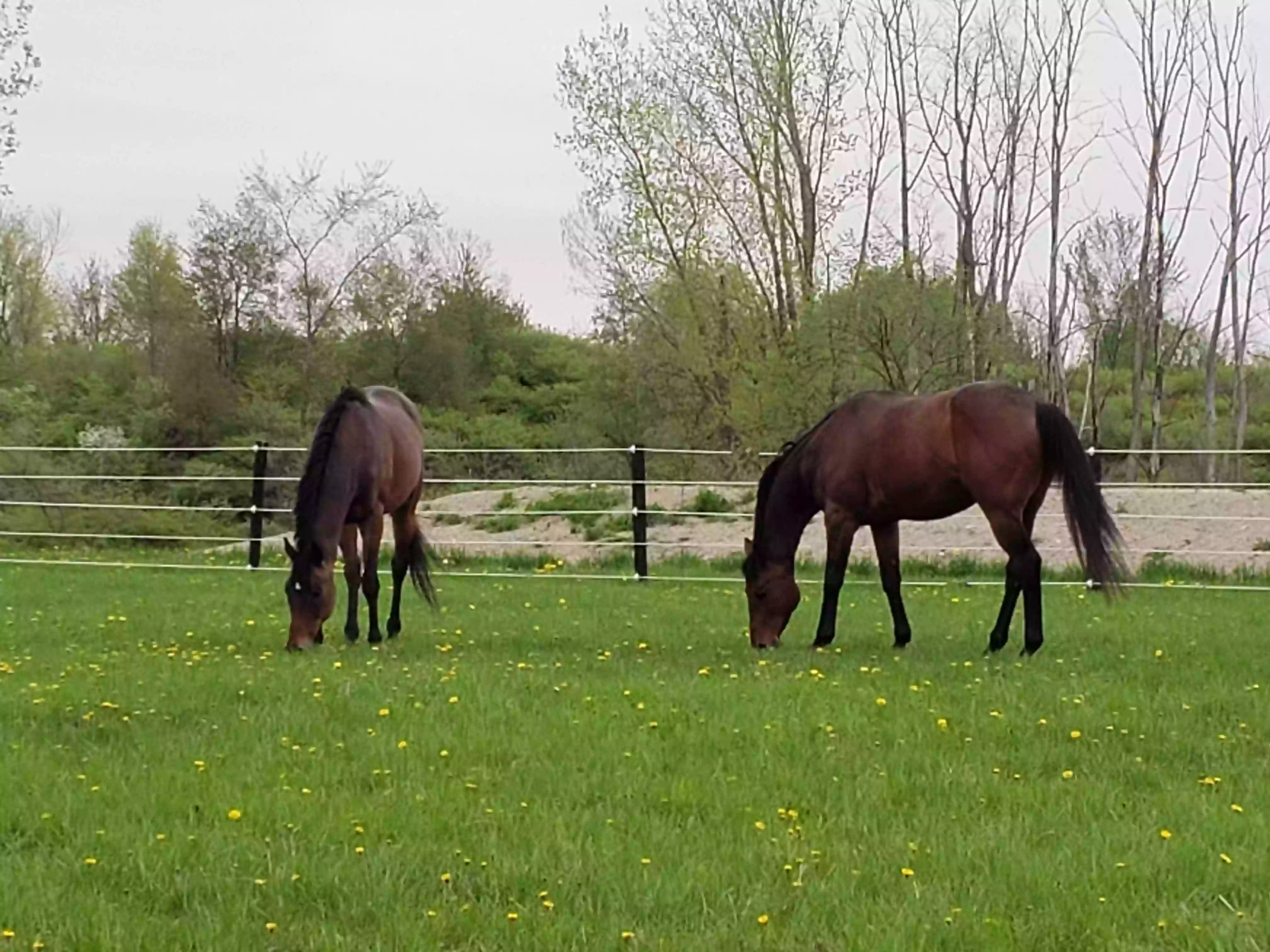 Stillwater Equestrian Center