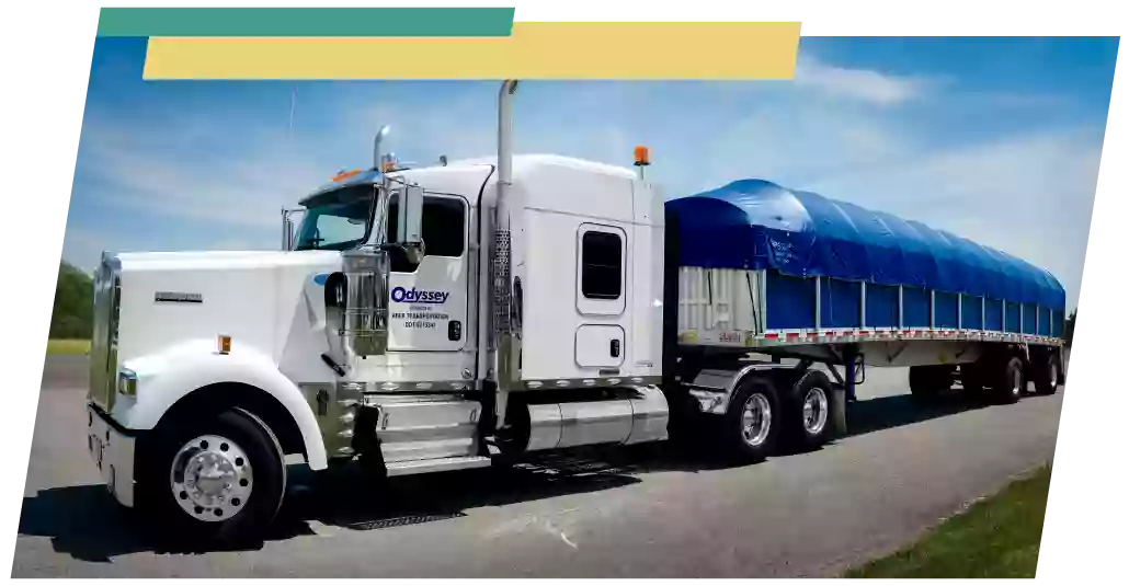 ADS Logistics Co., LLC - Odyssey Logistics & Technology