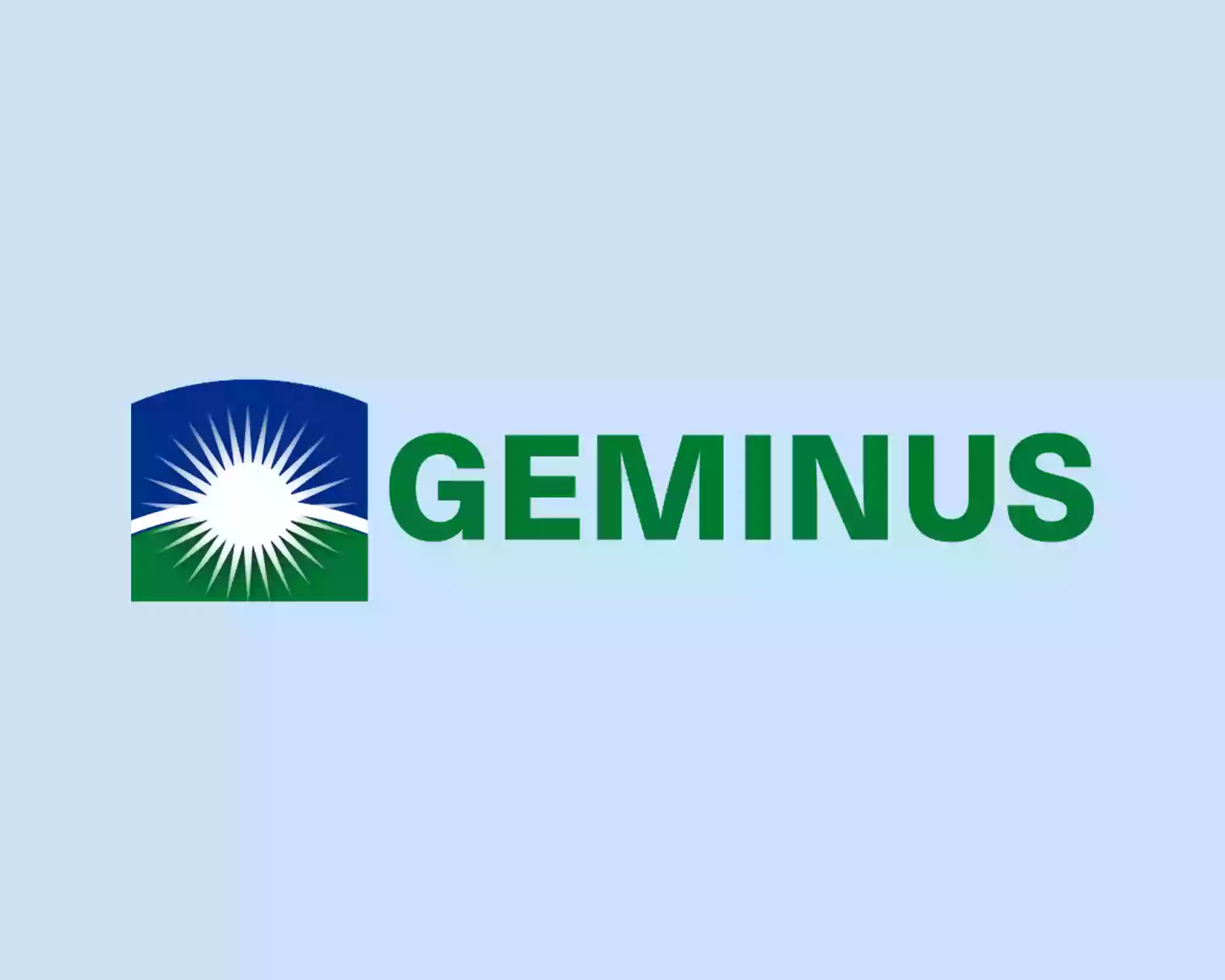 Geminus Child Care Resource & Referral Network