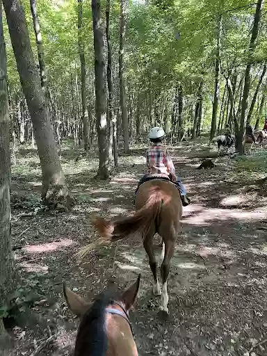 JJ Morris Riding Lessons and Trail Rides