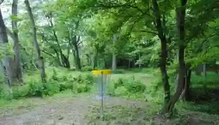 Fall Creek Disc Golf Course