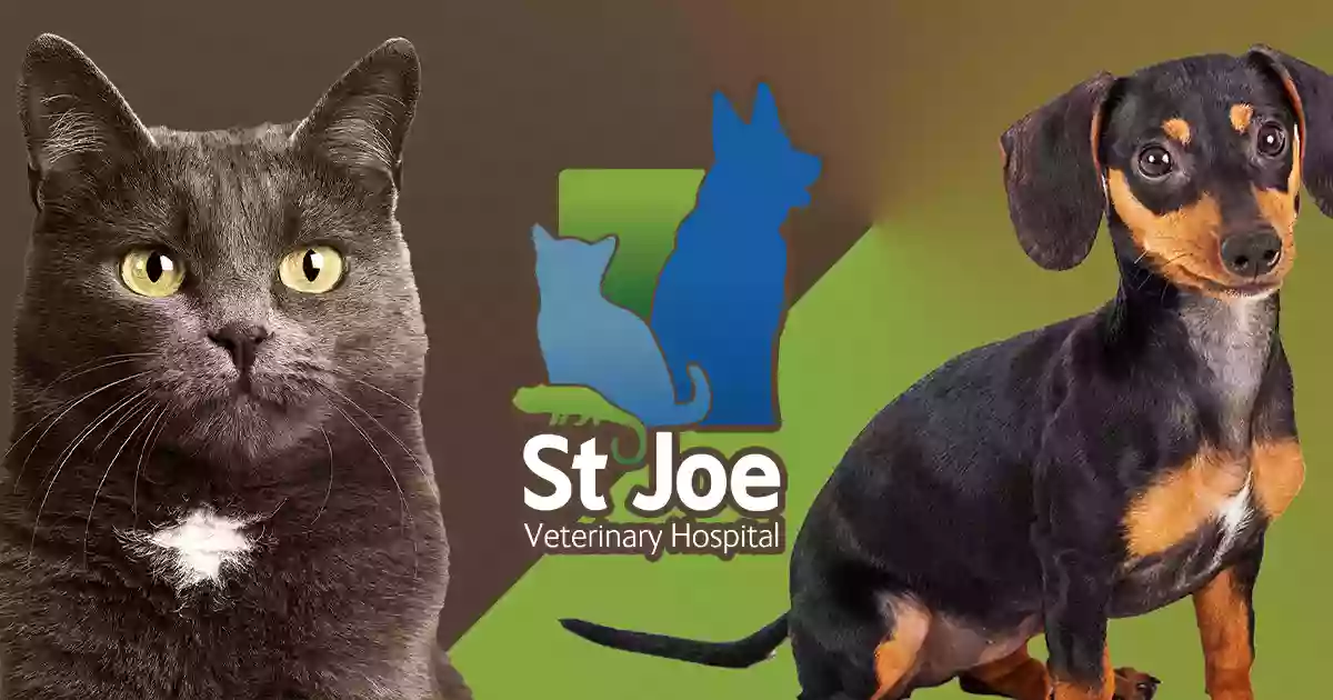 St Joe Veterinary Clinic: Cates Donald R DVM