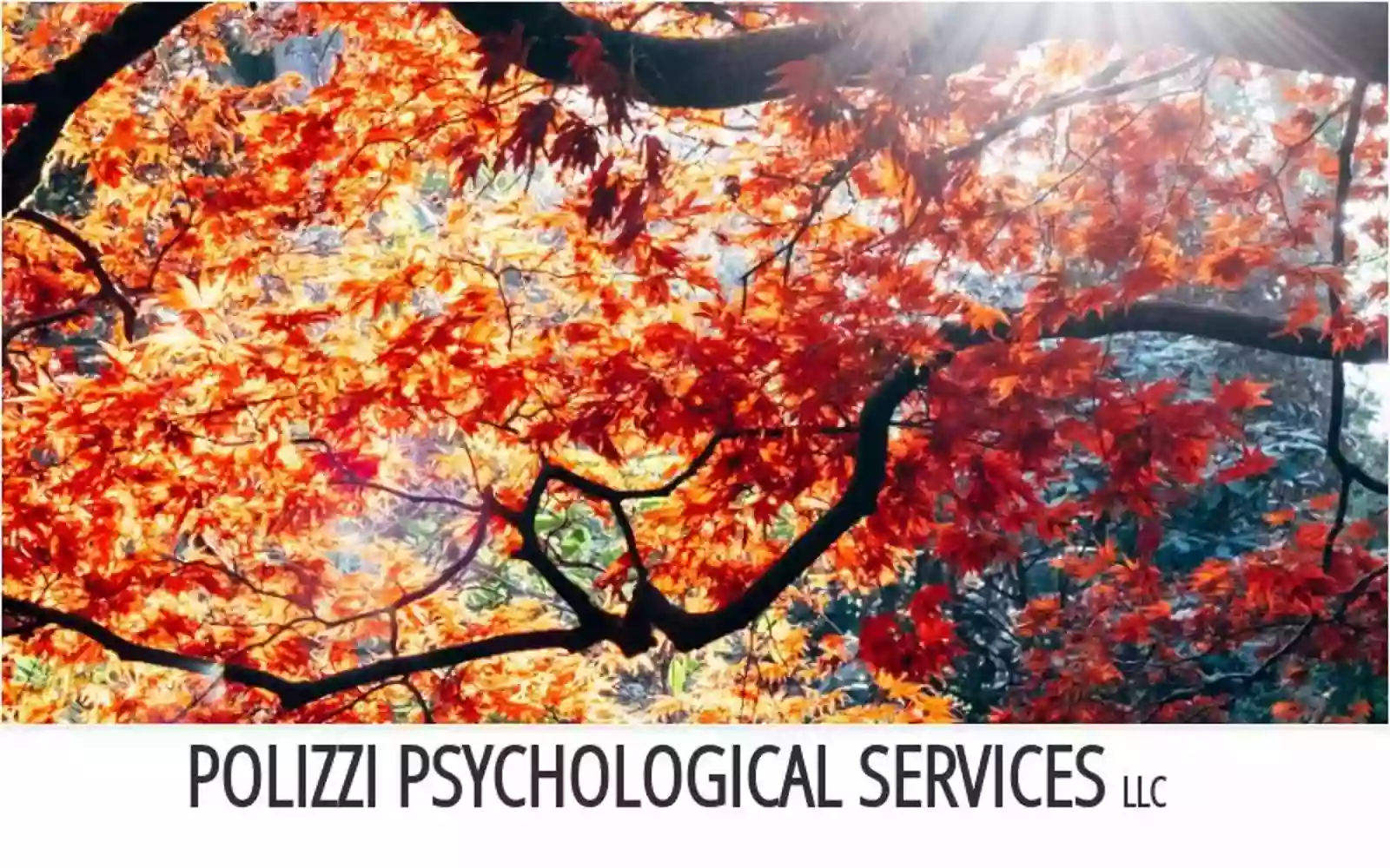 Polizzi Psychological Services llc