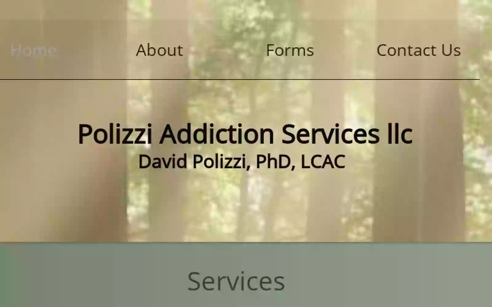 Polizzi Addiction Services llc