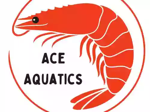 Ace Aquatics