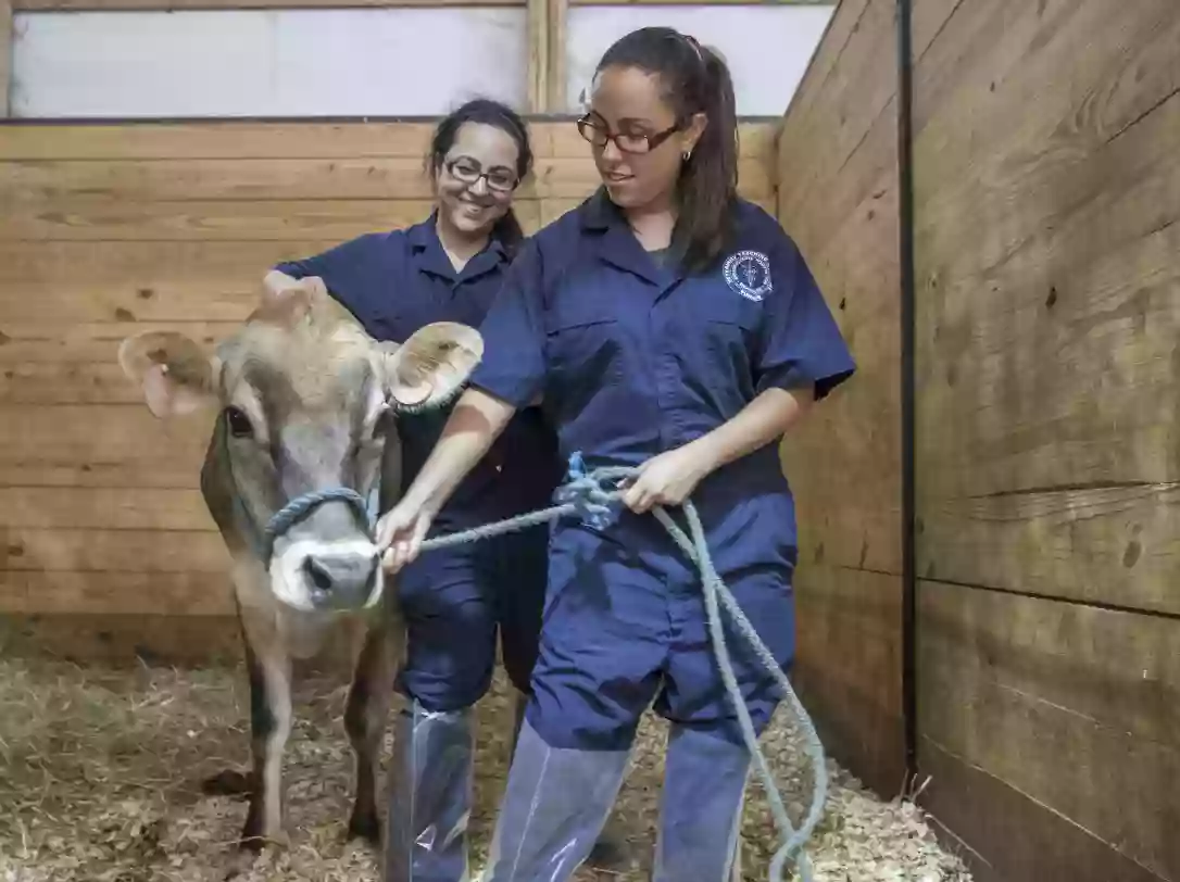 Purdue University Farm Animal Hospital