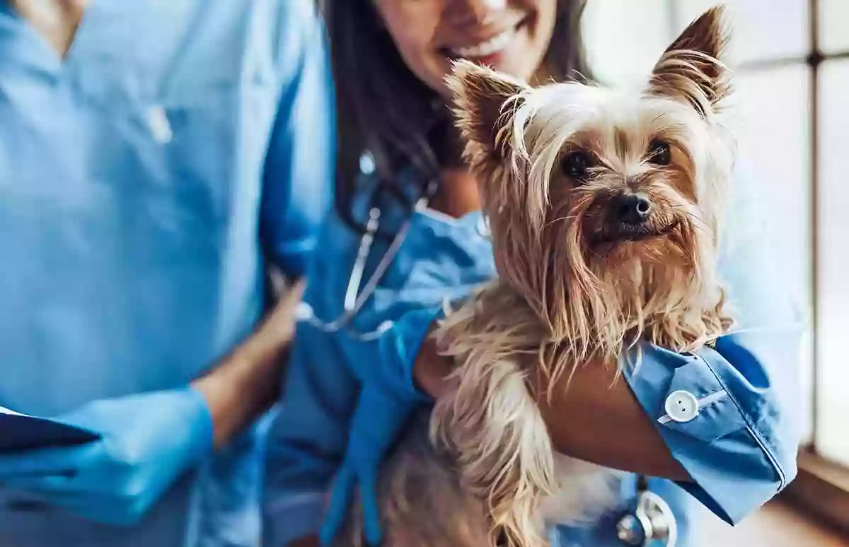 Franklin Animal Clinic at Greenwood Park