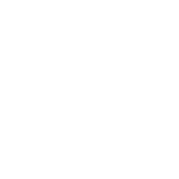 UAW Local 685