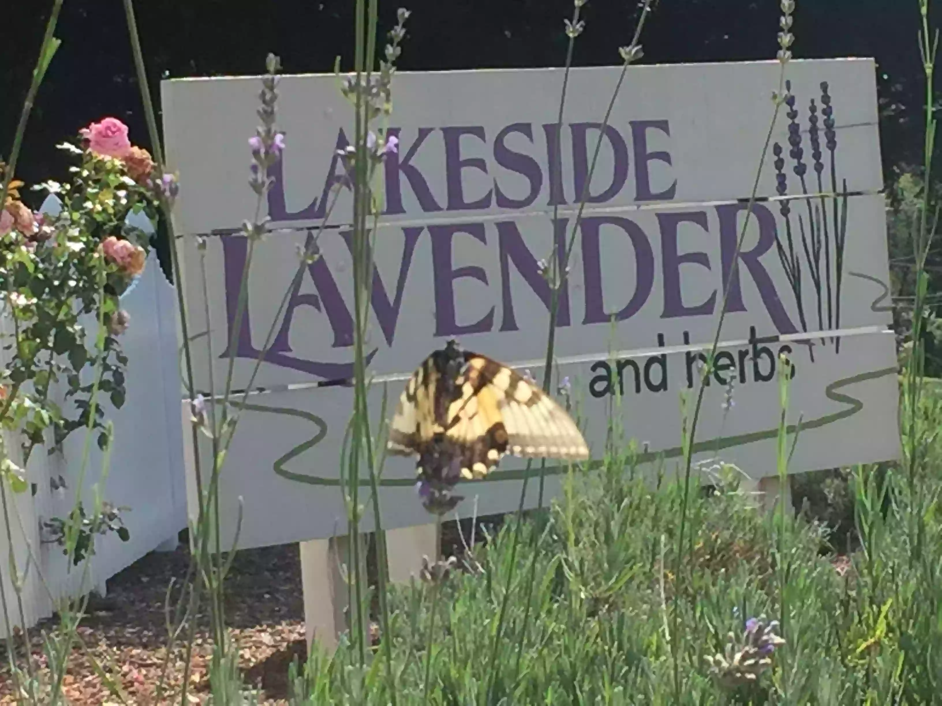 Lakeside Lavender and Herbs