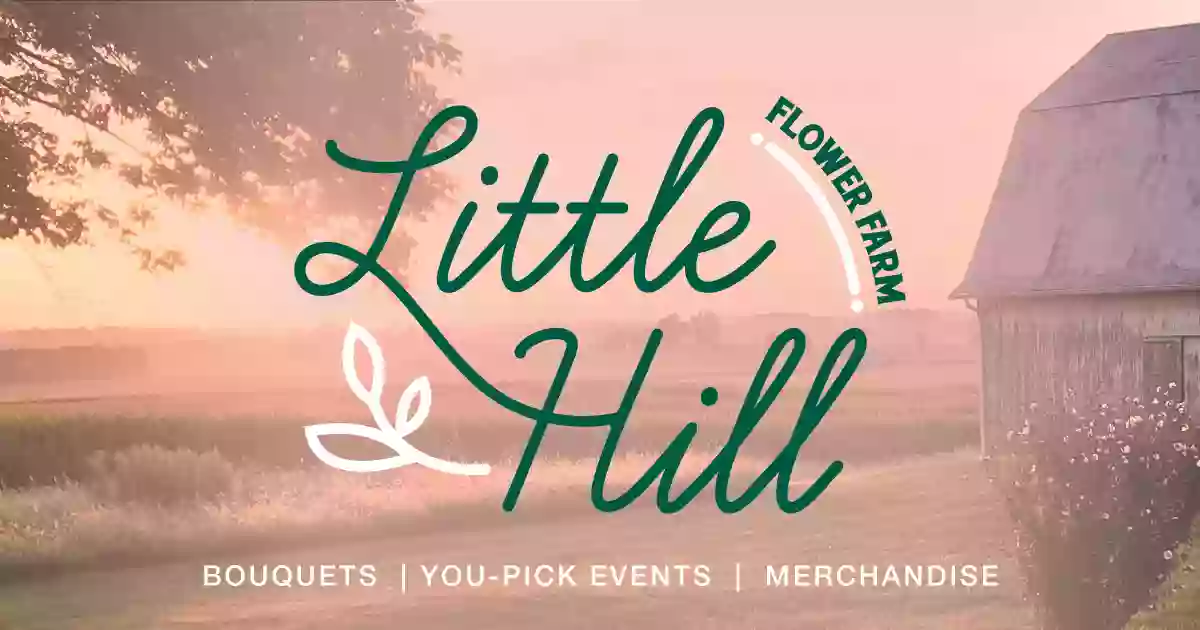 Little Hill Flower Farm