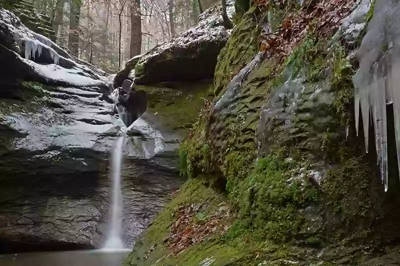 Turkey Run State Park Campground