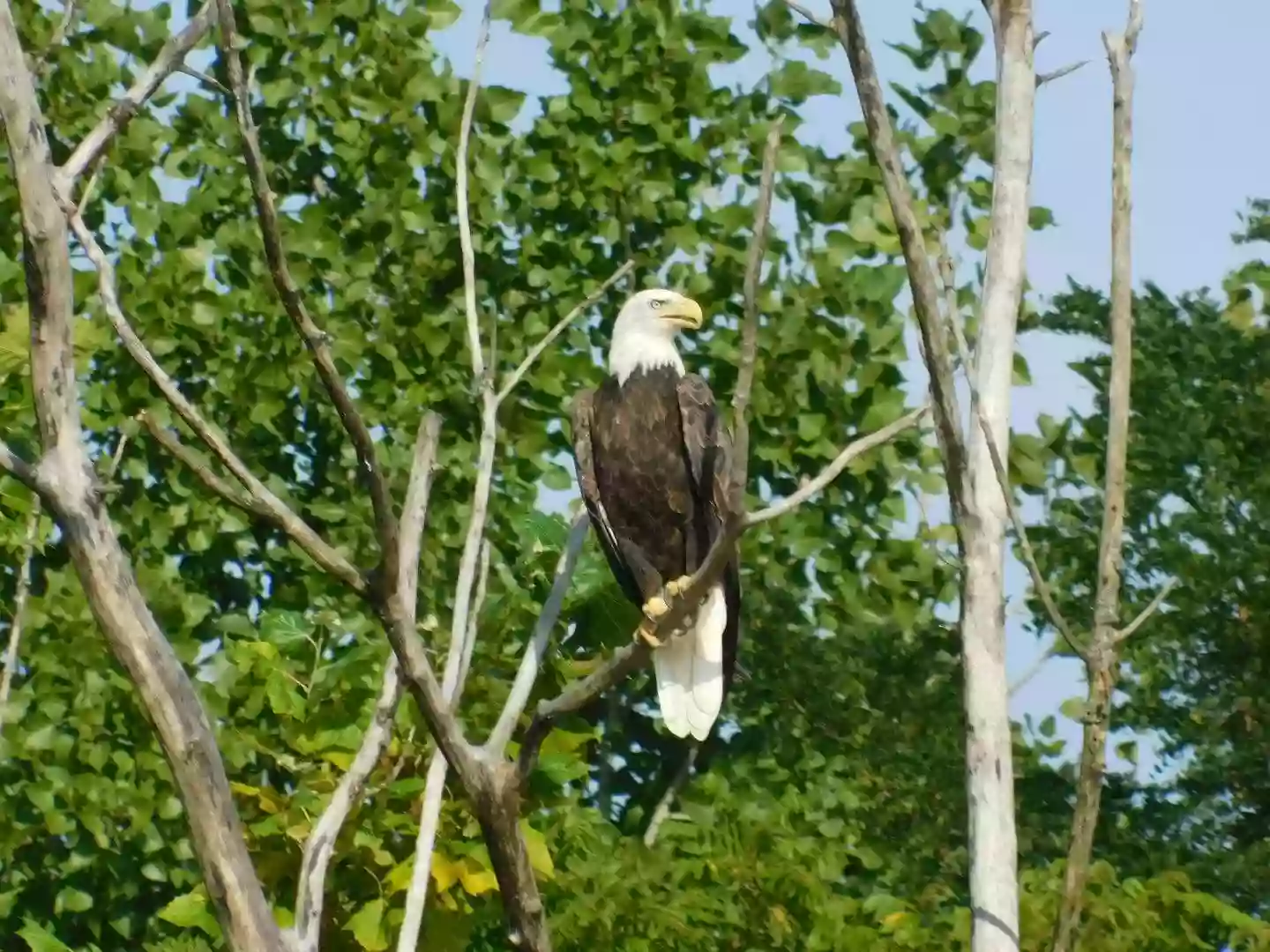 Rockin Thunder River Tours