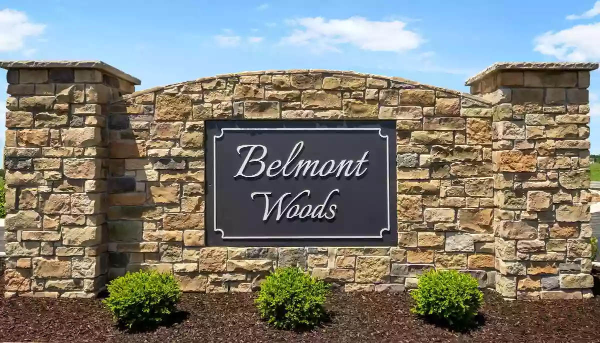 Olthof Homes Belmont Woods