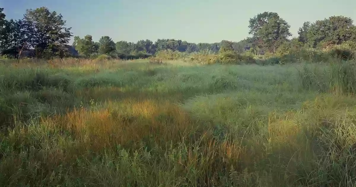 Hoosier Prairie State Nature Preserve