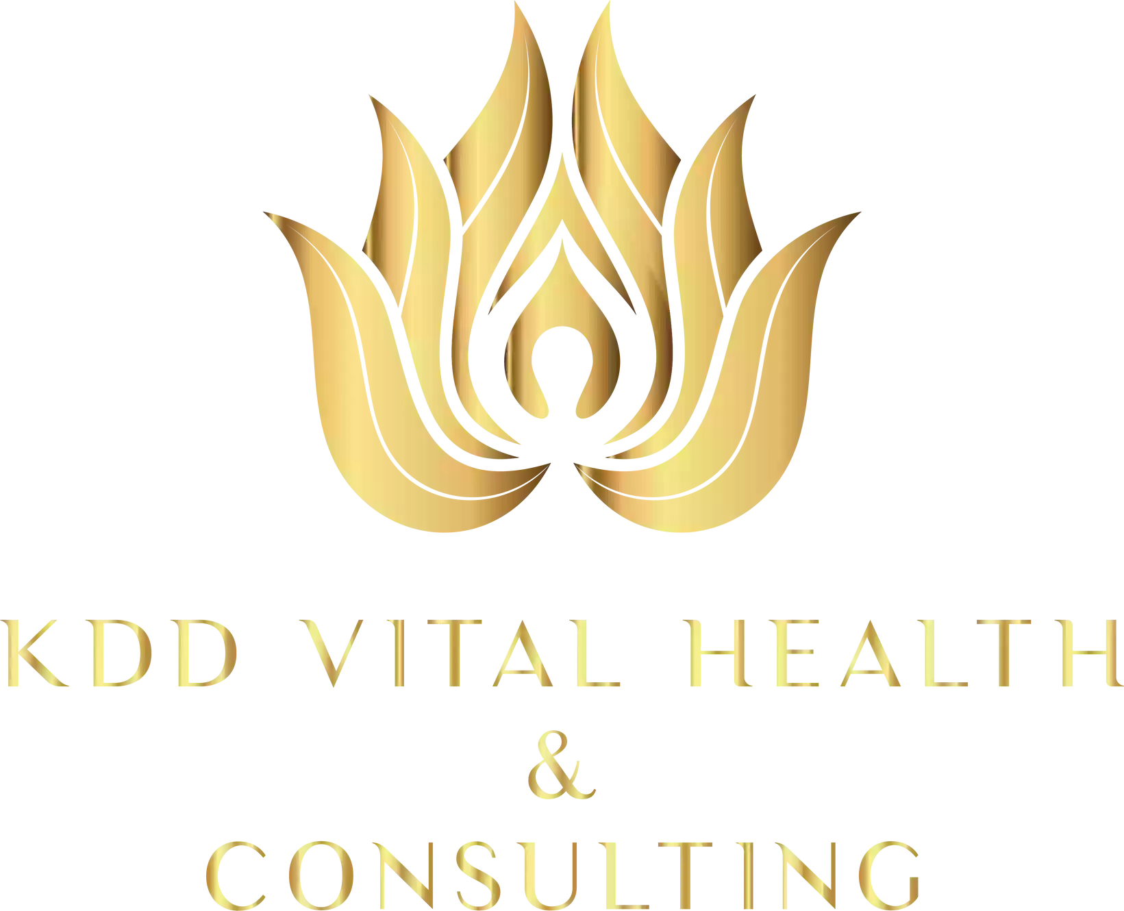 KDD Vital Health & Consulting Services