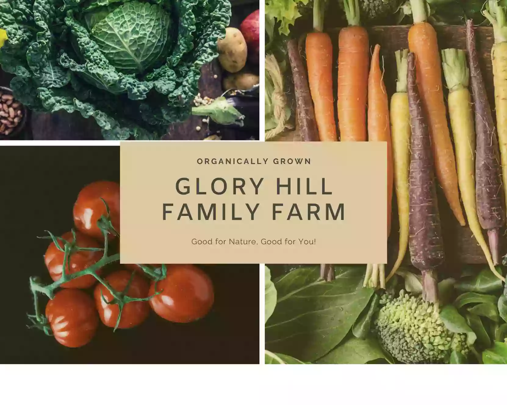 Glory Hill Family Farm